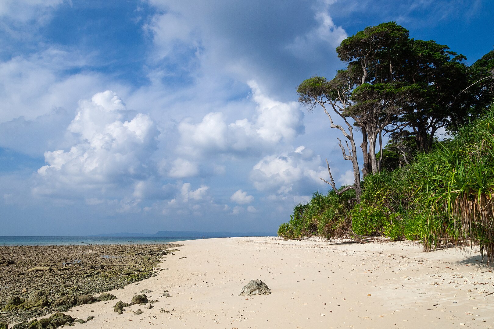 Andaman – Blue Beyond Imagination